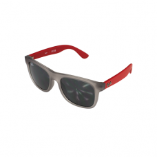 RAY BAN RJ9069S