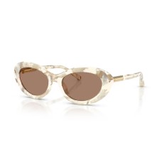 Dolce&Gabbana 4519 