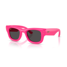 Rayban 4940 - Wayfarer Puffer
