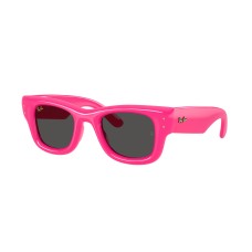 Rayban 4940 - Wayfarer Puffer